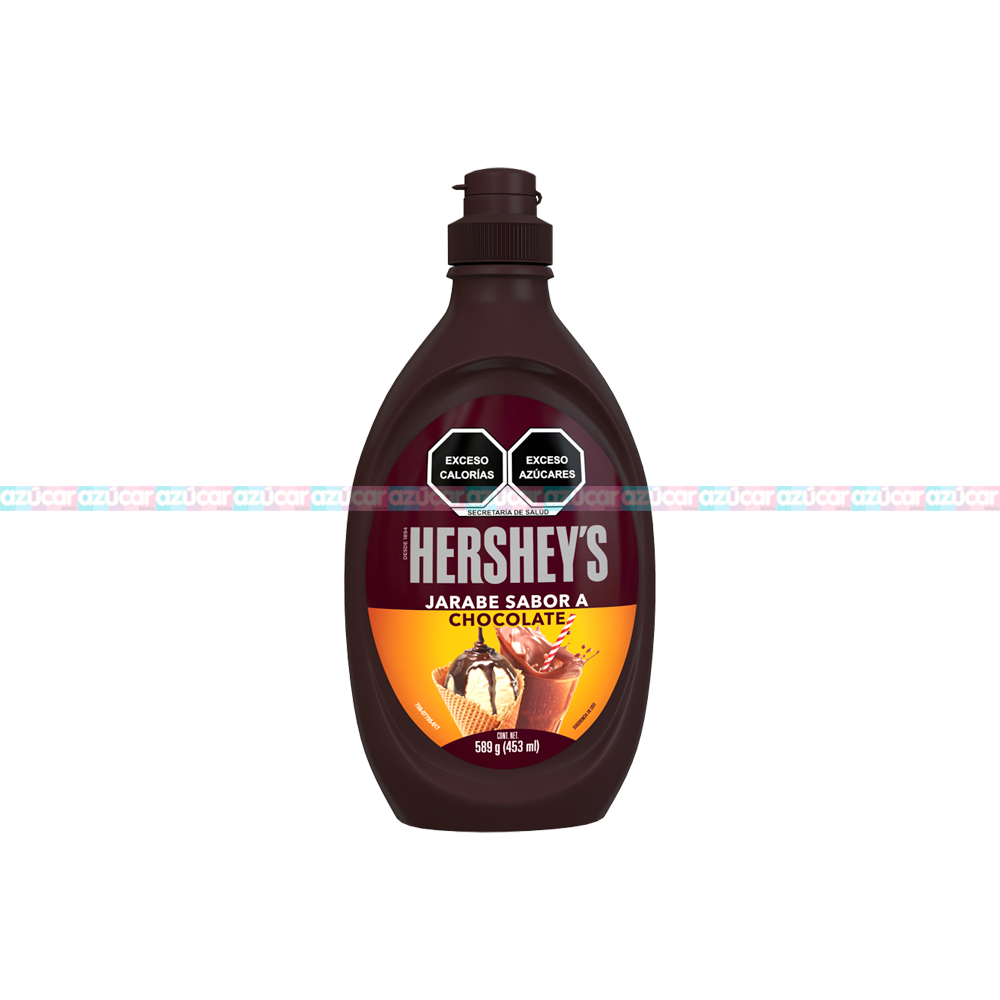 HERSHEY JARABE 24/589 G