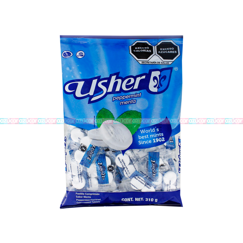 USHER BOLSA MENTA 40/100