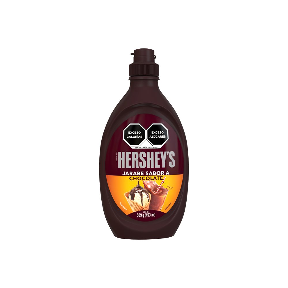 HERSHEY JARABE 24/589 G