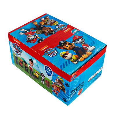 PAW PATROL 8/6