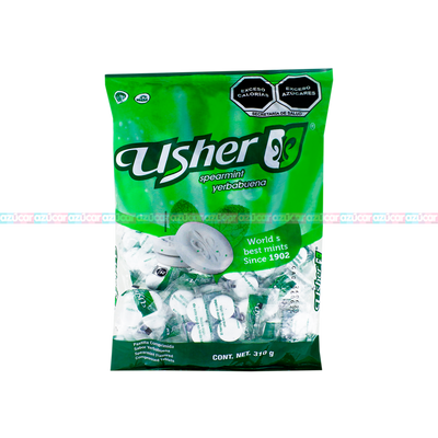 USHER BOLSA YERBA 40/100