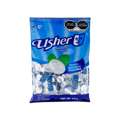 USHER BOLSA MENTA 40/100
