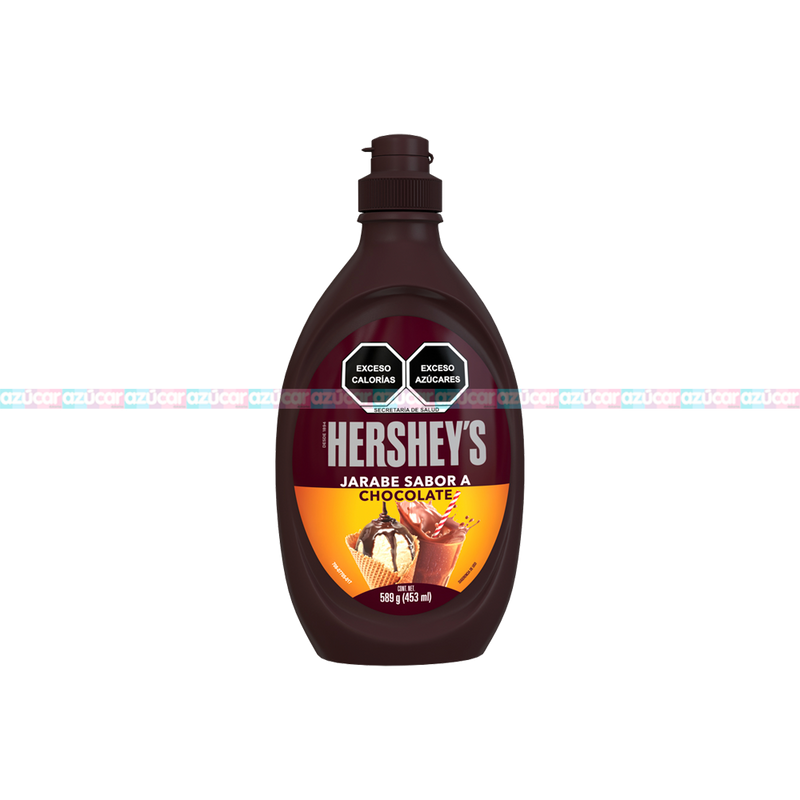 HERSHEY JARABE 24/589 G