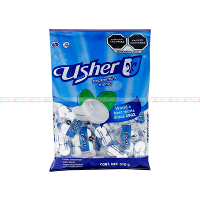 USHER BOLSA MENTA 40/100